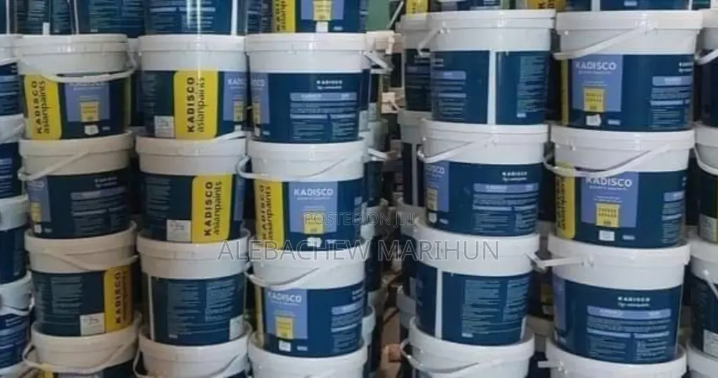 Paint1.webp